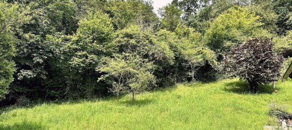 Terreno en Ahrweiler, Germany No. 228987 2