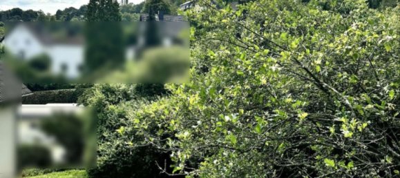 Terreno en Ahrweiler, Germany No. 228987 3