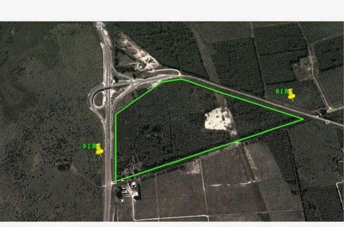  Land in Entre Rios, Argentina No. 33758