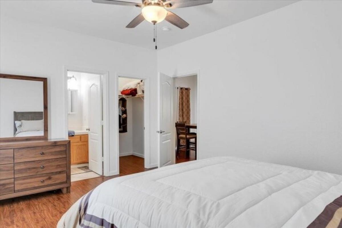 Studio in Angels Camp, USA No. 384811