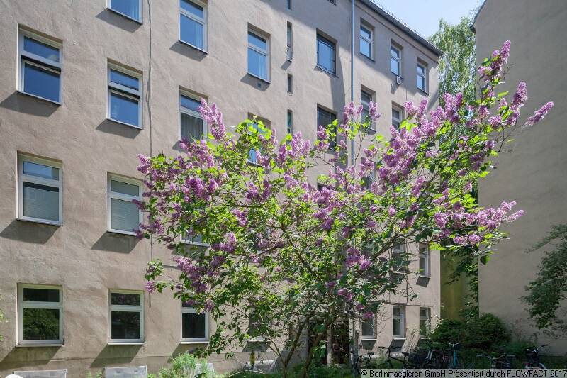 Studio in Wedding, Germany No. 260051