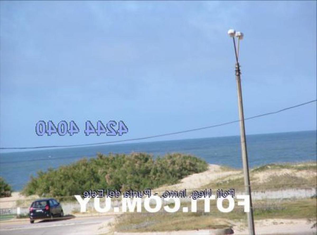 2 bedrooms Apartment in Punta del Este, Uruguay No. 11316