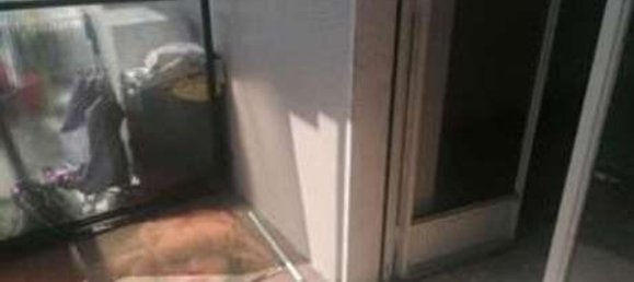 2-Zimmer Wohnung in Cinisello Balsamo, Italy, Nr. 5708 22