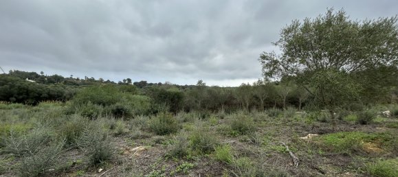 1444m² Land in Cadiz, Spain No. 147591 6