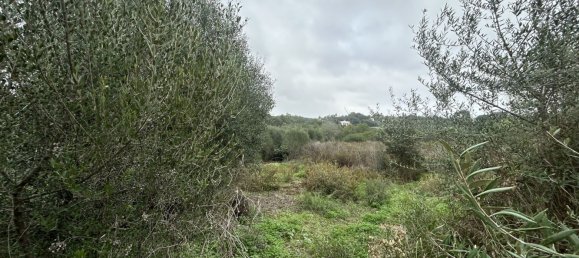 1444m² Land in Cadiz, Spain No. 147591 9