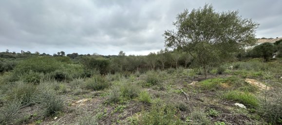 1444m² Land in Cadiz, Spain No. 147591 8