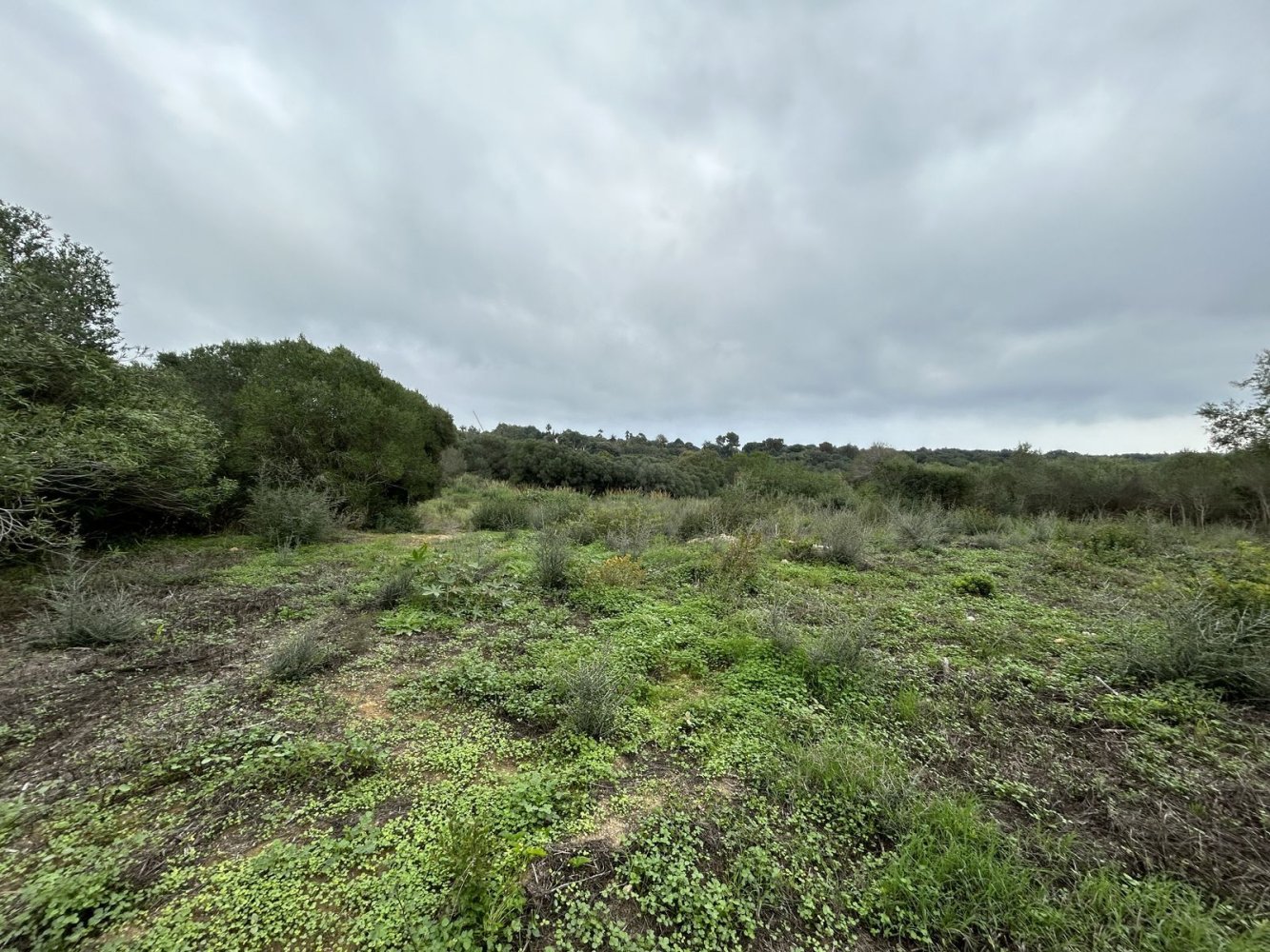1444m² Land in Cadiz, Spain No. 147591