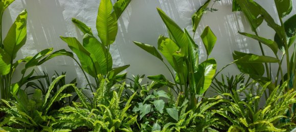 Adosado de 1 dormitorio en Estepona, Spain No. 189671 5