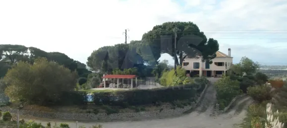 14 bedrooms House in Palmela, Portugal No. 136413 4