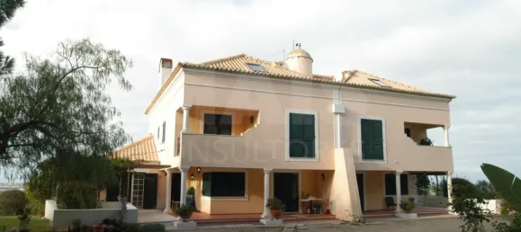 14 bedrooms House in Palmela, Portugal No. 136413 10