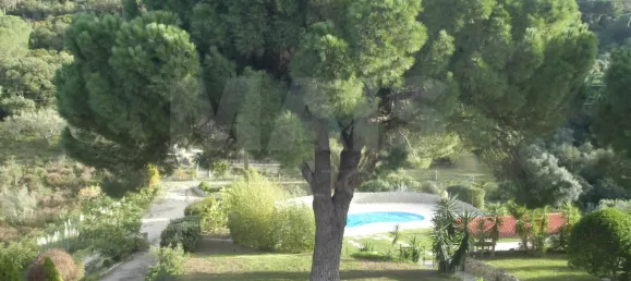 14 bedrooms House in Palmela, Portugal No. 136413 7