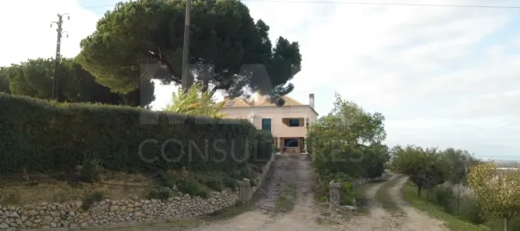 14 bedrooms House in Palmela, Portugal No. 136413 3