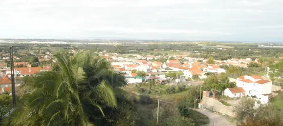 14 bedrooms House in Palmela, Portugal No. 136413 16