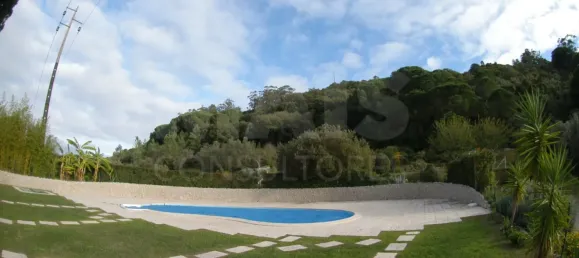 14 bedrooms House in Palmela, Portugal No. 136413 8