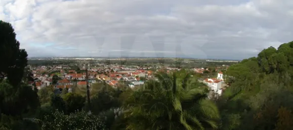 14 bedrooms House in Palmela, Portugal No. 136413 19