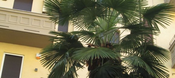 3 bedrooms Apartment in Milan, Italy No. 362645 26