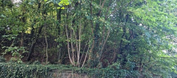 Земельный участок в Эннепе-Рур, Германия № 130306 5