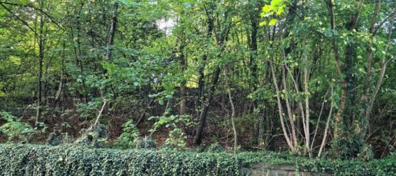 Земельный участок в Эннепе-Рур, Германия № 130306 6