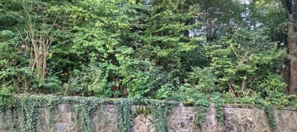 Земельный участок в Эннепе-Рур, Германия № 130306 4