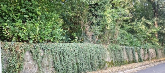 Земельный участок в Эннепе-Рур, Германия № 130306 3