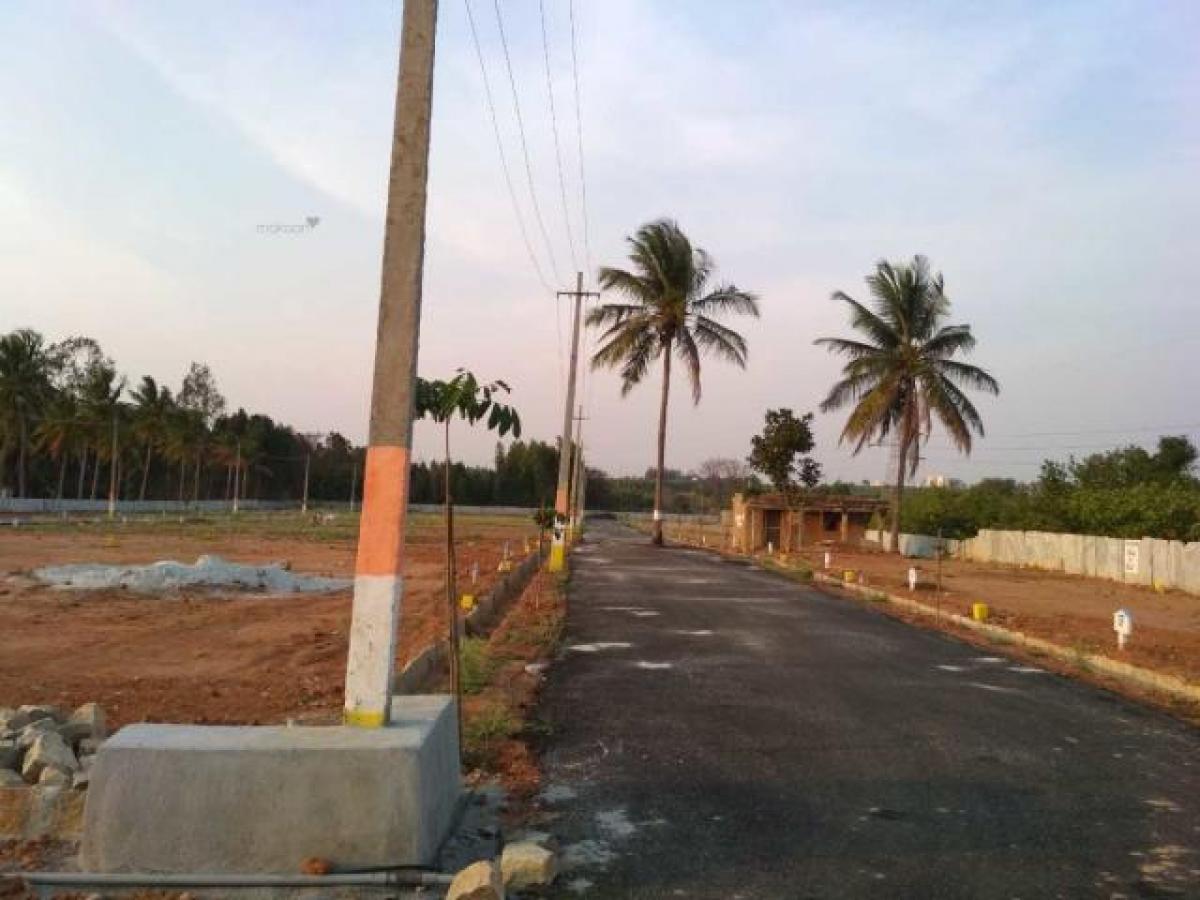  Land in Bangalore, India No. 31324