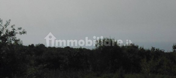 Grundstück in Drapia, Italy 1000m², Nr. 78474 6