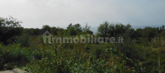 Grundstück in Drapia, Italy 1000m², Nr. 78474 3