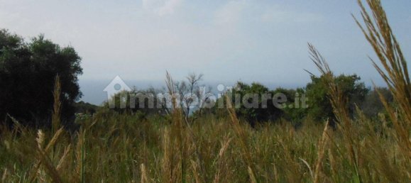 Grundstück in Drapia, Italy 1000m², Nr. 78474 5