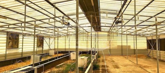 Grundstück in Fasnia, Spain 5116m², Nr. 186639 26