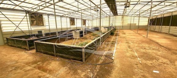 Grundstück in Fasnia, Spain 5116m², Nr. 186639 22