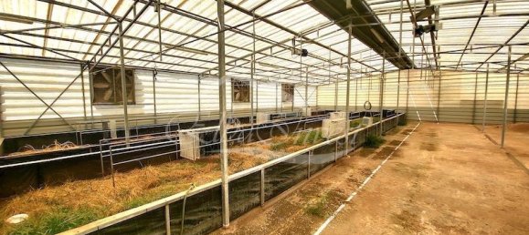 Grundstück in Fasnia, Spain 5116m², Nr. 186639 24