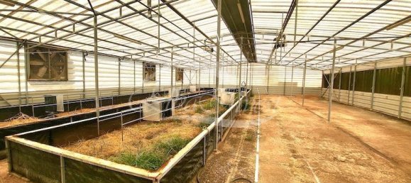 Grundstück in Fasnia, Spain 5116m², Nr. 186639 21