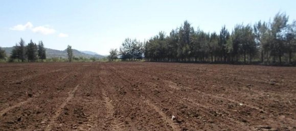 2 bedrooms House in Acatic, Mexico No. 183731 2