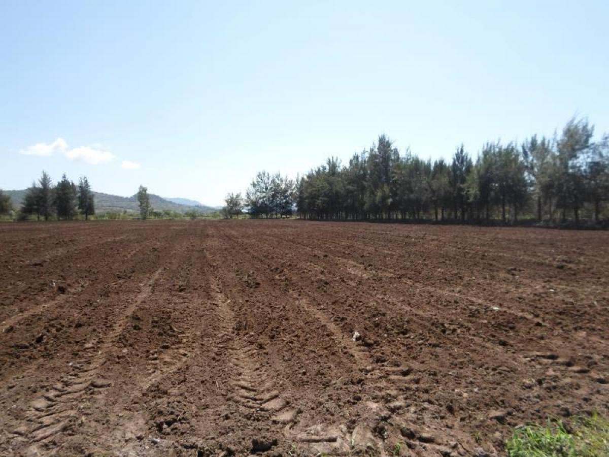 2 bedrooms House in Acatic, Mexico No. 183731