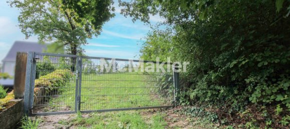 Земельный участок в Нюрнбергер-Ланд, Германия № 367205 4