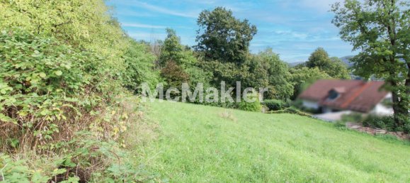 Земельный участок в Нюрнбергер-Ланд, Германия № 367205 2