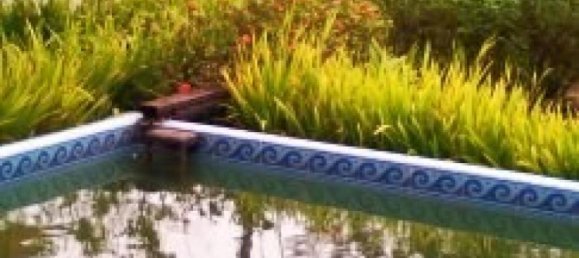 Terrain à Grecia, Costa Rica No. 1593 3