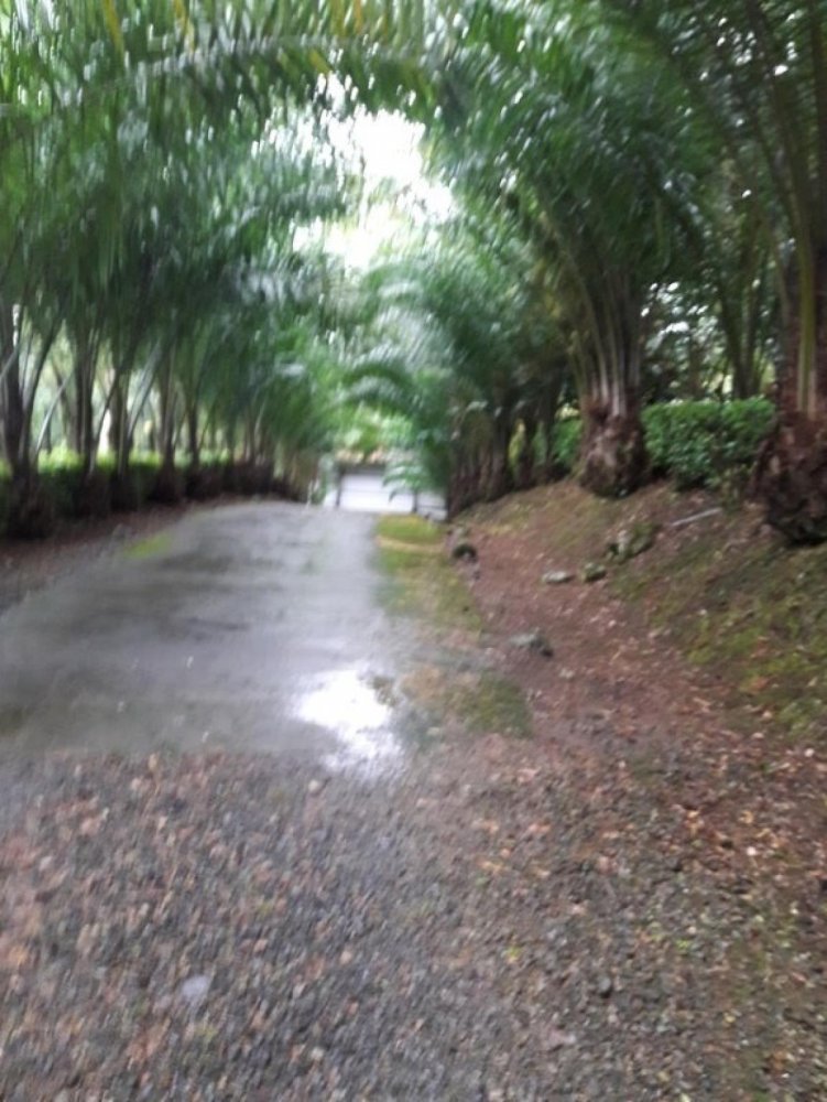 Terrain à Grecia, Costa Rica No. 1593