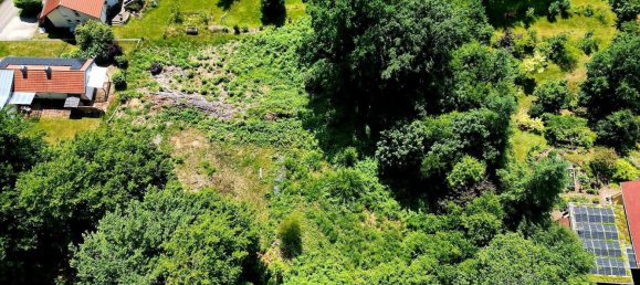 Земельный участок в Кайзерслаутерн, Германия № 316582 5