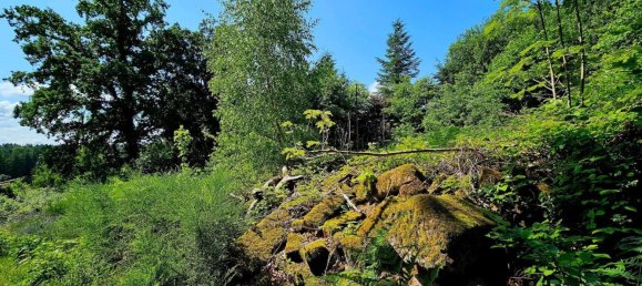 Земельный участок в Кайзерслаутерн, Германия № 316582 2