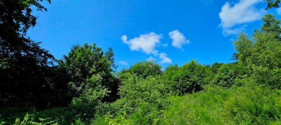 Земельный участок в Кайзерслаутерн, Германия № 316582 4