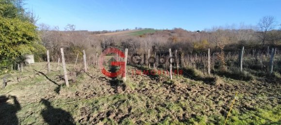 3 bedrooms House in Madiran, France No. 290202 11