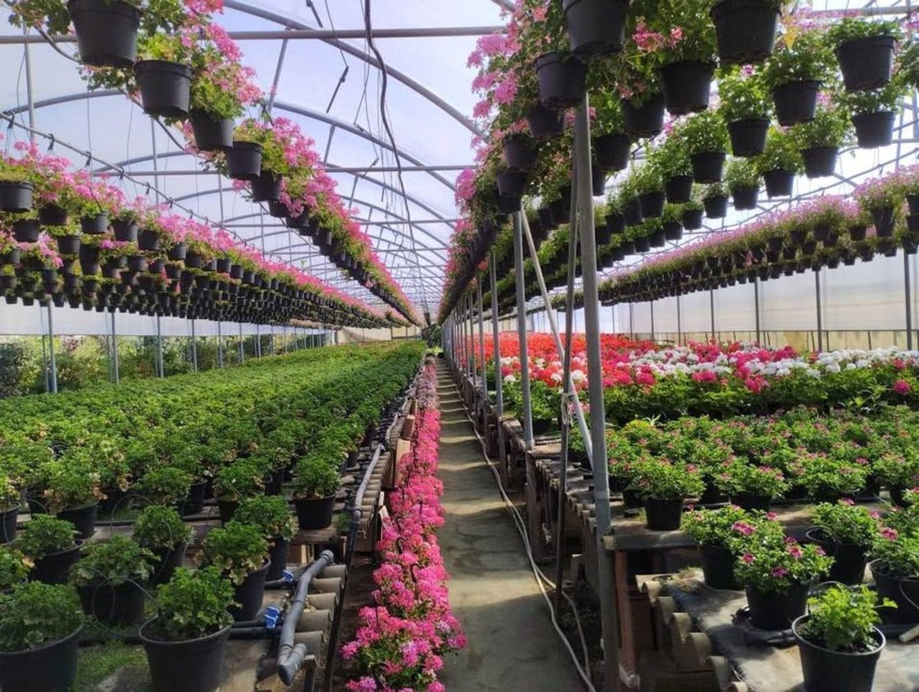 Propriété commerciale à Acireale, Italy 3150m² No. 396460