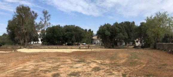 Terreno em Almancil, Portugal 3233 m² N.º 146686 8