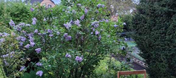 2 Schlafzimmer Wohnung in Neuwied, Germany, Nr. 219264 4