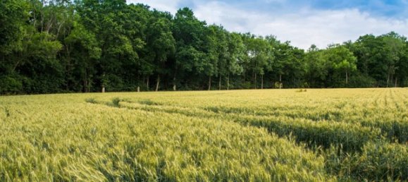 Casa T2 em Cranleigh, United Kingdom N.º 3463 85