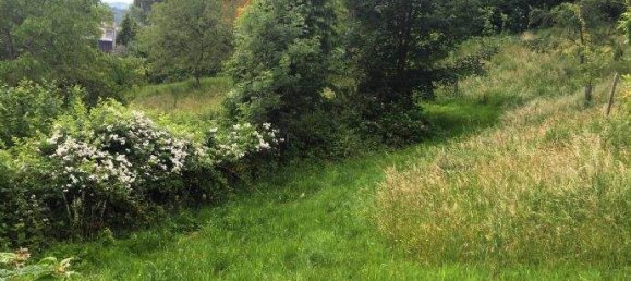  Land in Deutschlandsberg, Austria No. 12856 2