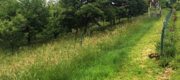  Land in Deutschlandsberg, Austria No. 12856 3