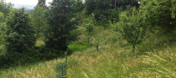  Land in Deutschlandsberg, Austria No. 12856 4