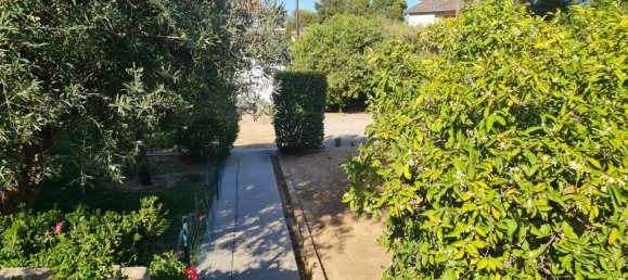 Вилла с 5 спальнями в Патерна, Испания № 14990 26